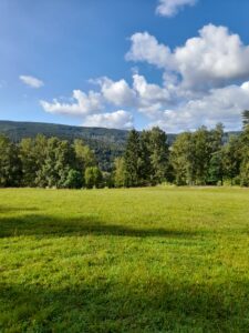 Šumava