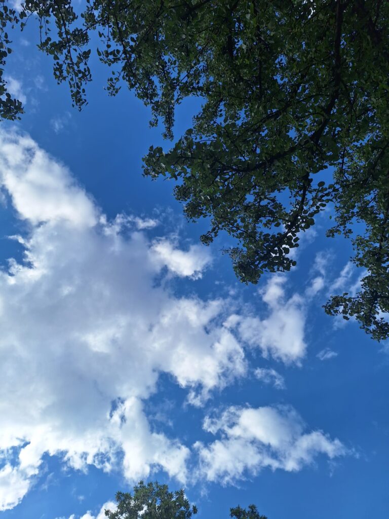 neba na zemi
